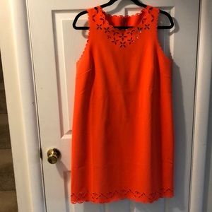 NWT Lasercut Shift dress